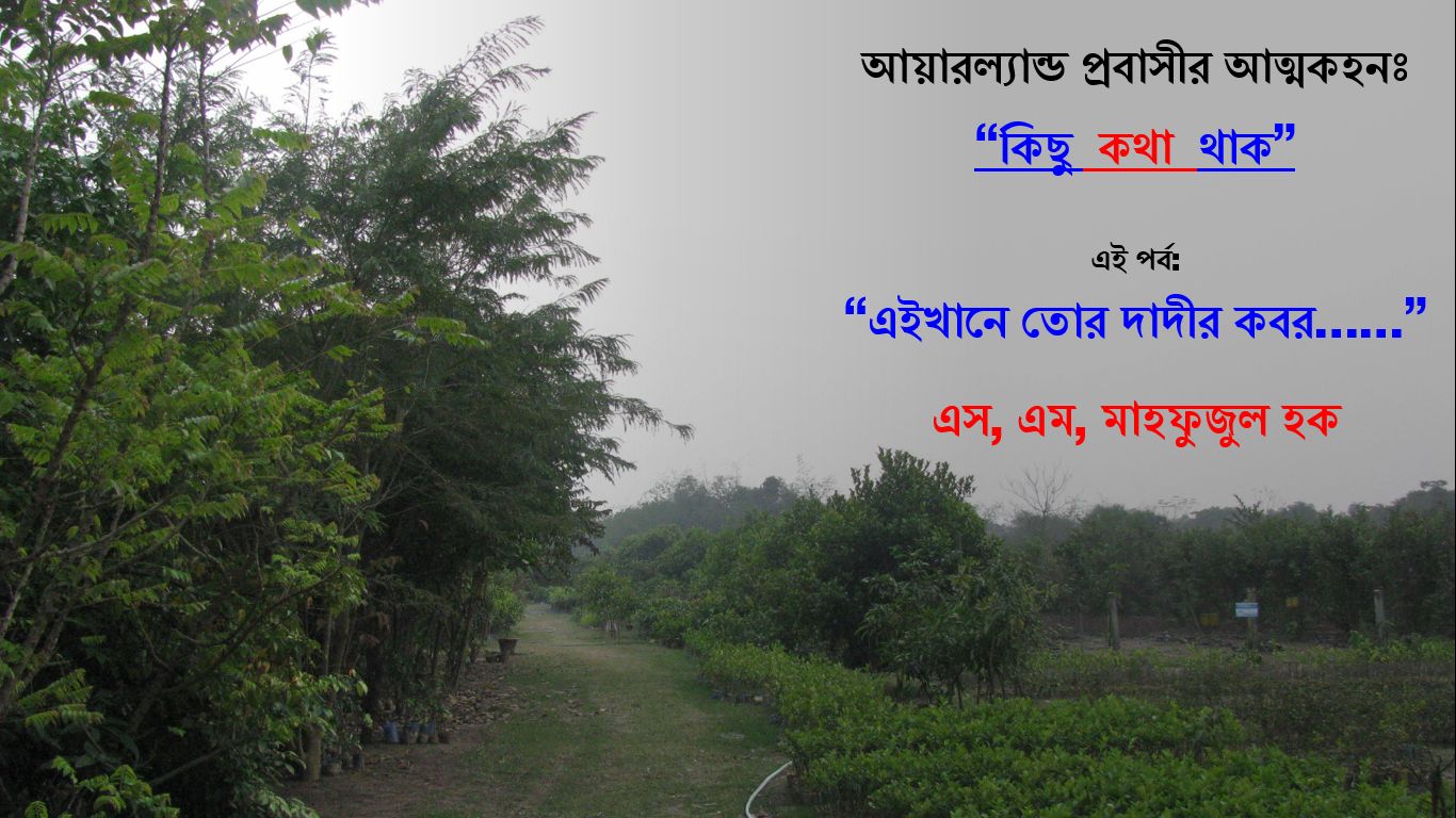 আয়ারল্যান্ড প্রবাসীর আত্মকহনঃ কিছু  কথা  থাক